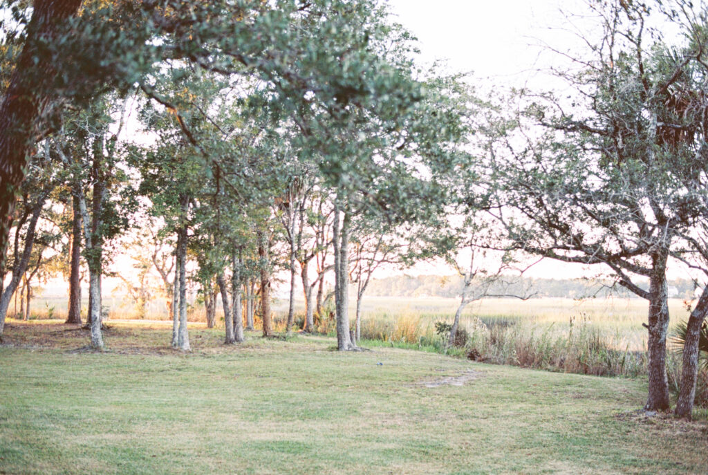 Trees in a green yard overlooking the marsh in South Carolina at sunset