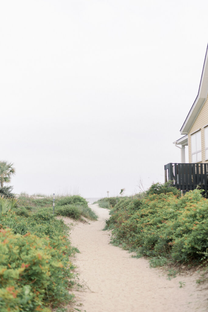 A captivating view of a sandy path adorned with vibrant green beach plants, creating a picturesque scene at Isle of Palms beach in Charleston. This stunning photograph, captured by The Wild Elopement, invites you to embark on a serene journey towards the sparkling ocean. The lush vegetation on either side of the path adds a touch of natural beauty to the landscape. Immerse yourself in the tranquility of this coastal oasis, where the path leads to endless possibilities and the soothing sound of waves awaits.