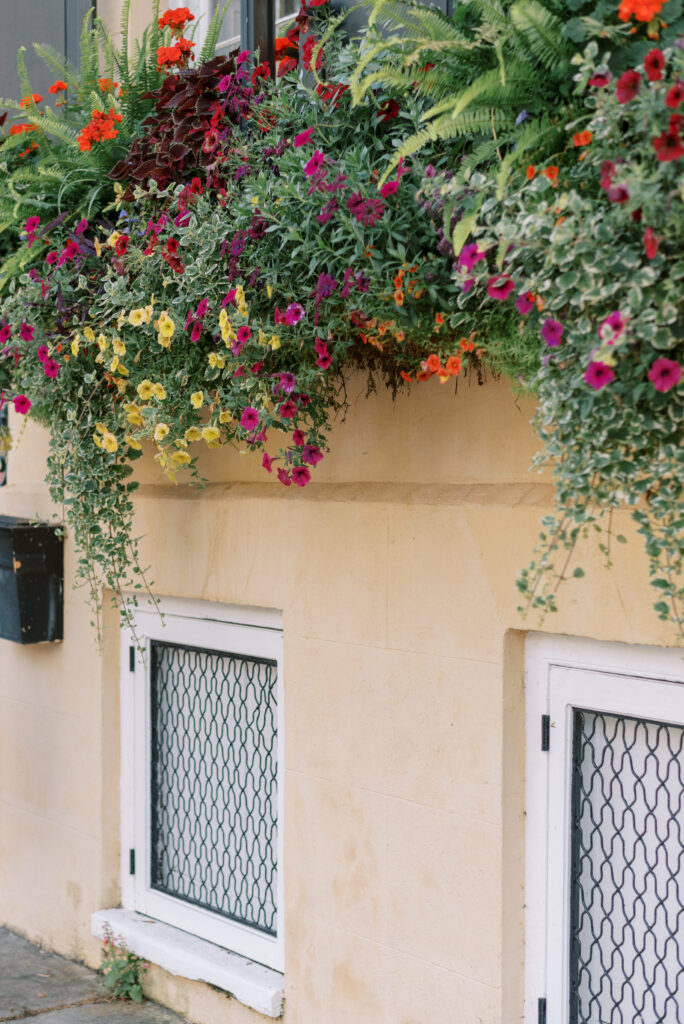 overflowing flower boxes on a yellow historic house in Charleston