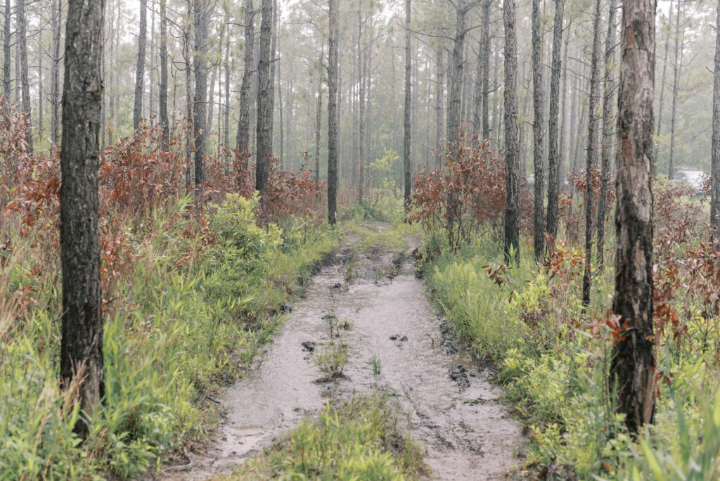 Heavy rain falls over a mud pit on a dirt bike trail in the woods in South Carolina