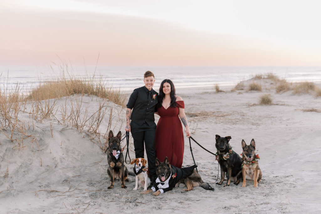 wedding portrait of a newly married couple and their five dogs on the beach