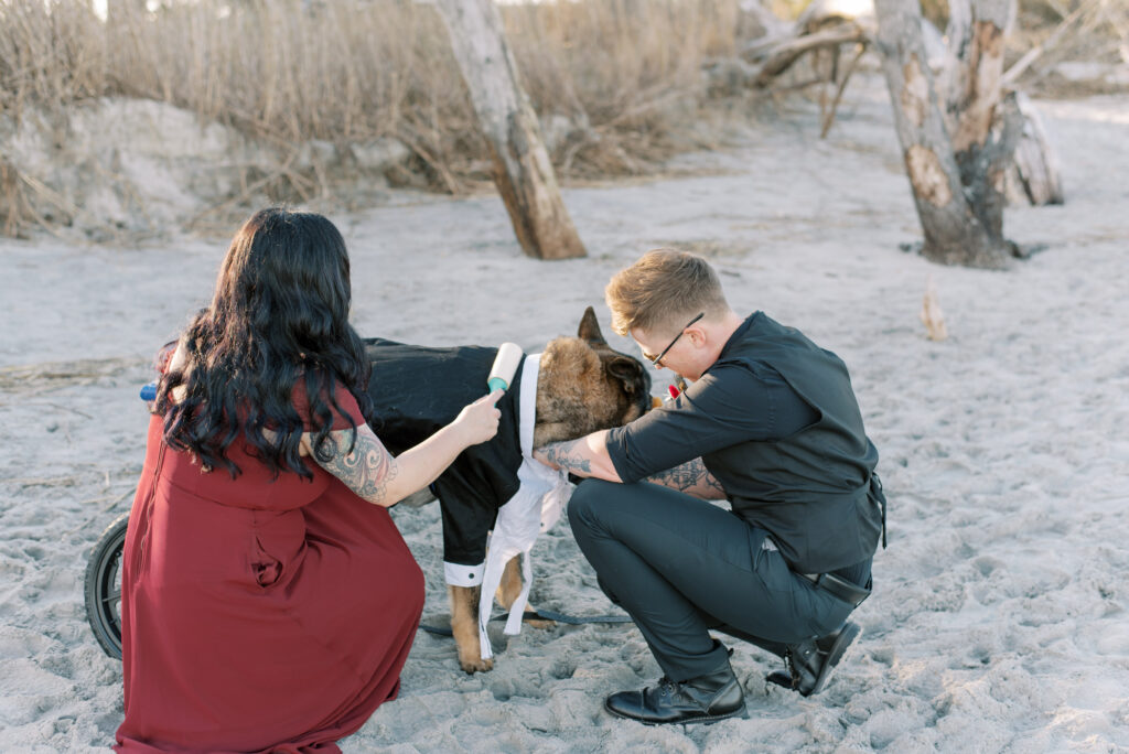 Two brides get their dog dressed in his wedding tux