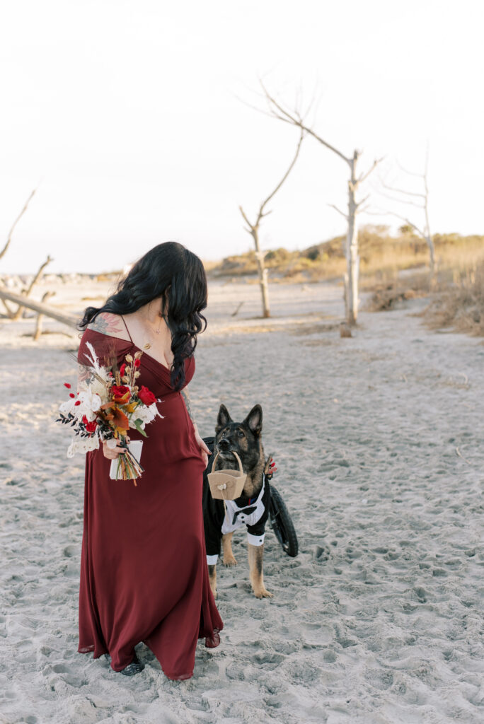 Bride walks towards her bride with a dog as the ring bearer