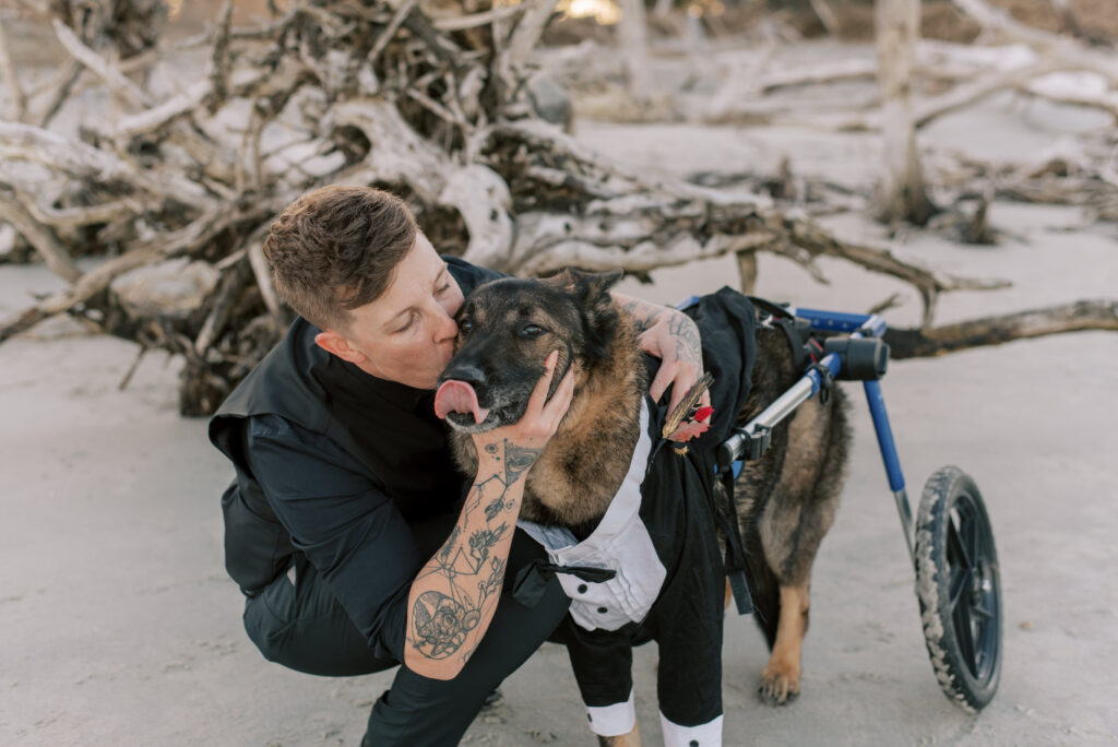 bride kisses her dog on the beach in front of driftwood