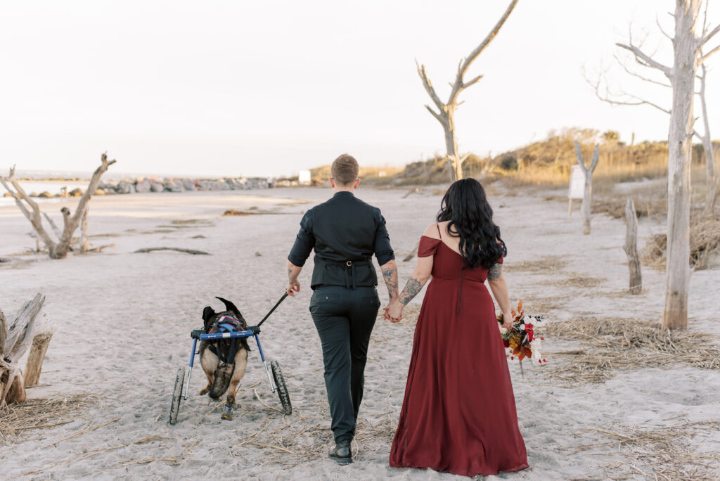 brides walk away from the camera holding hands and walking dog in a wheel chair